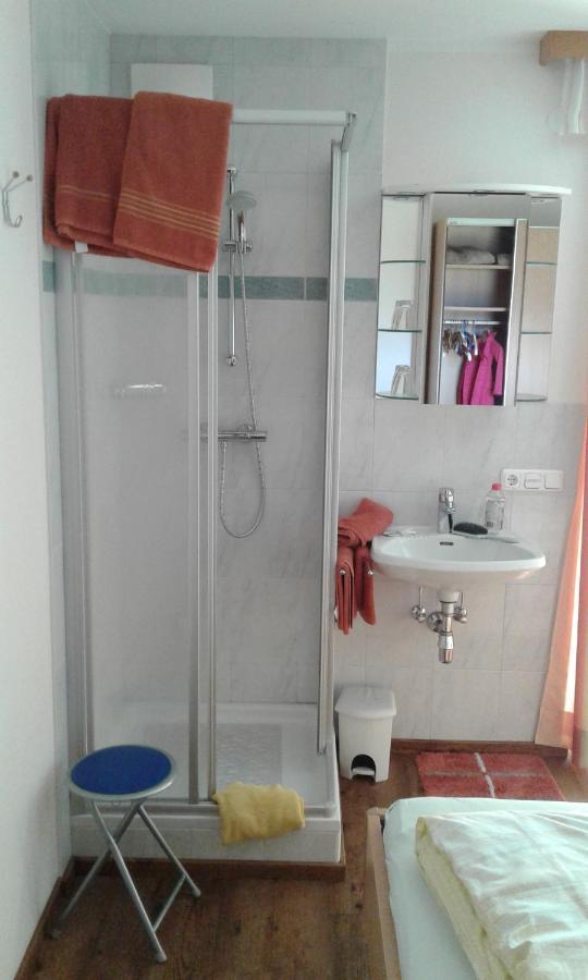 Appartment Steger Klara Mittersill Buitenkant foto